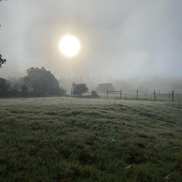 Meet your Posher, Janeth - Picture 2 of 4